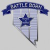 Battle Born Blinds & Repair